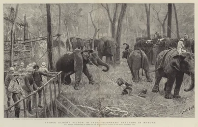 Prins Albert Victor i Indien